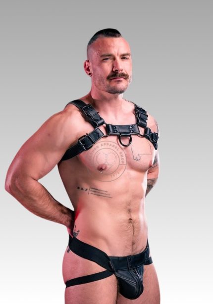 Leather Dog Harness Hardline Grey, leather harness, leather dog harness, leather harness men, leather chest harness for sale