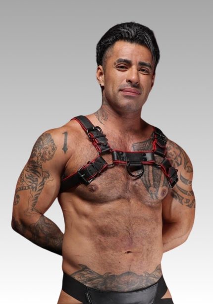 Leather Hardline Hunter Red harness men's for sale