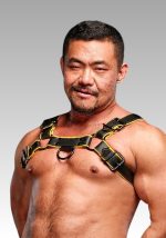 Chest Harness Yellow Hardline, chest harness, mens chest harness, dog chest harness, bdsm chest harness, male chest harness for sale