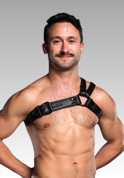 Slingshot Tri leather Harness men's for sale