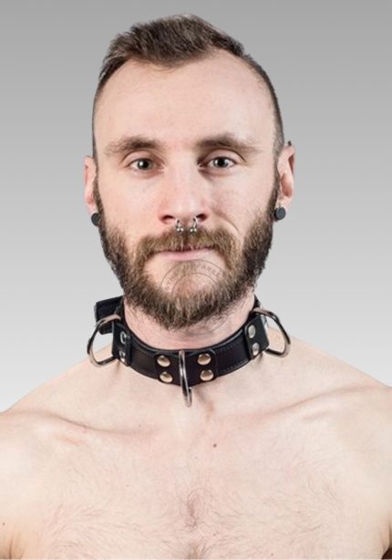 Leather Slave Collar Black, BDSM locking collar, pup play collar, BDSM leather collar, sub collaring for sale