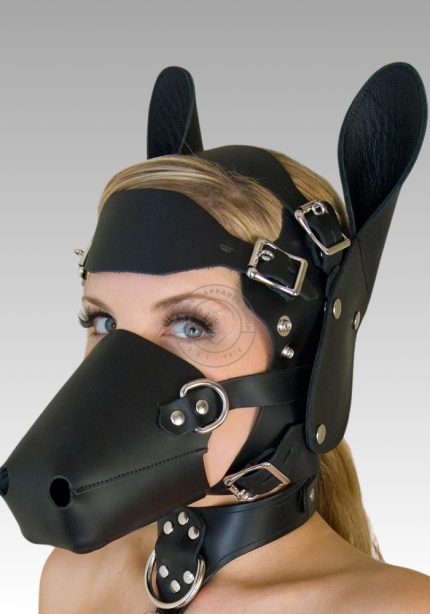 Pony Head Bridle Hood, pony play hood, pony play, pony play BDSM, pony play bondage for sale