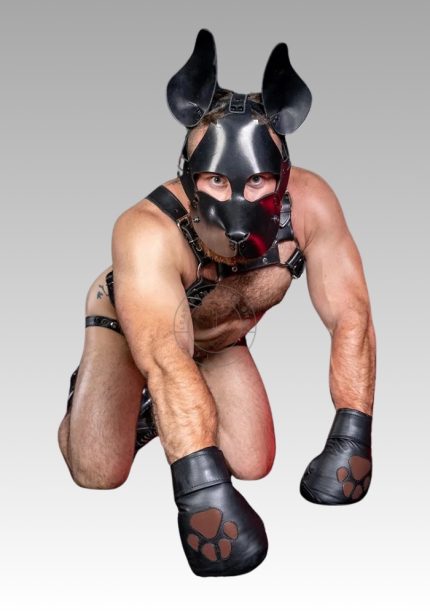 Leather Padded Puppy Play Mitts for sale