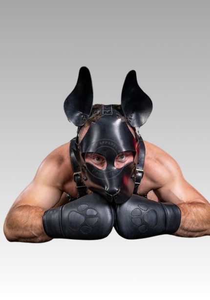 Leather Padded Puppy Mitts Black for sale